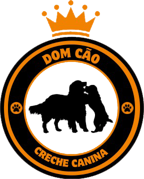 Dom Cão – Creche Canina